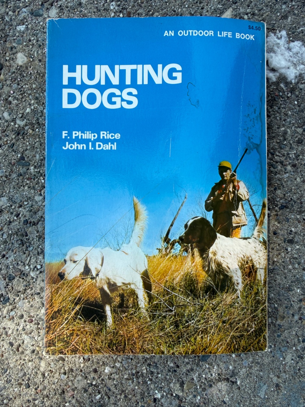 Outdoor life hunting dogs
